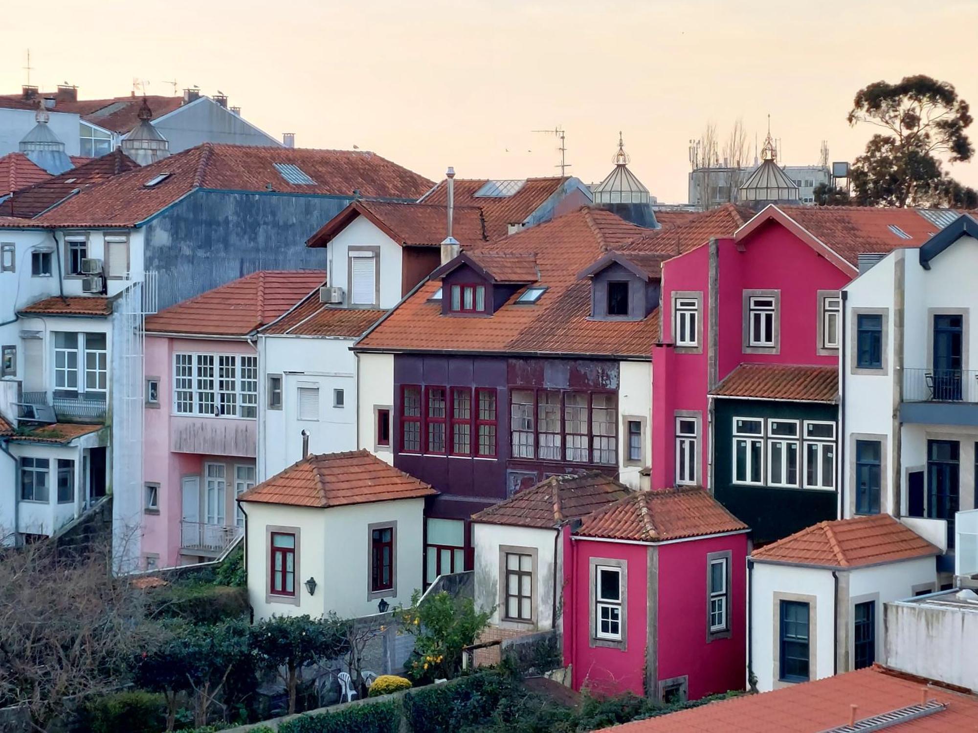 Le Chien Noir City Centre Porto Eksteriør bilde